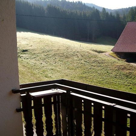 Ferienwohnung Am Sulzbaechle Bad Rippoldsau-Schapbach Ngoại thất bức ảnh